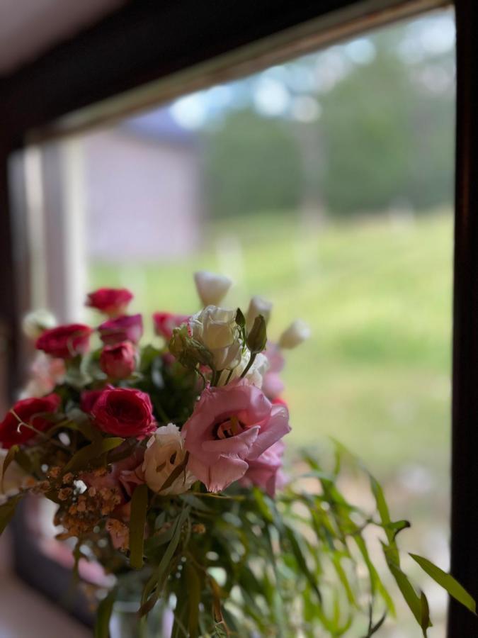 Blackberry House Zabljak 외부 사진
