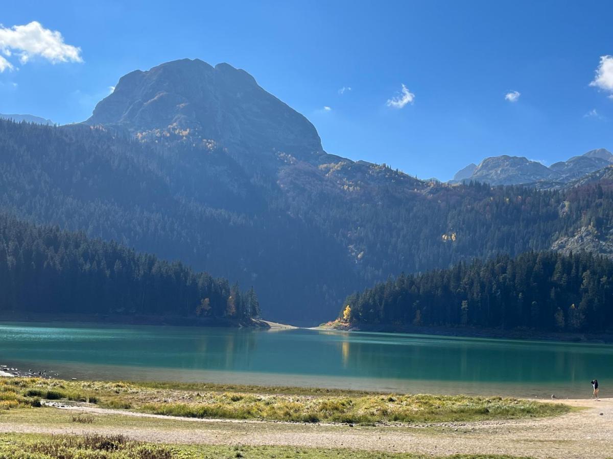 Blackberry House Zabljak 외부 사진