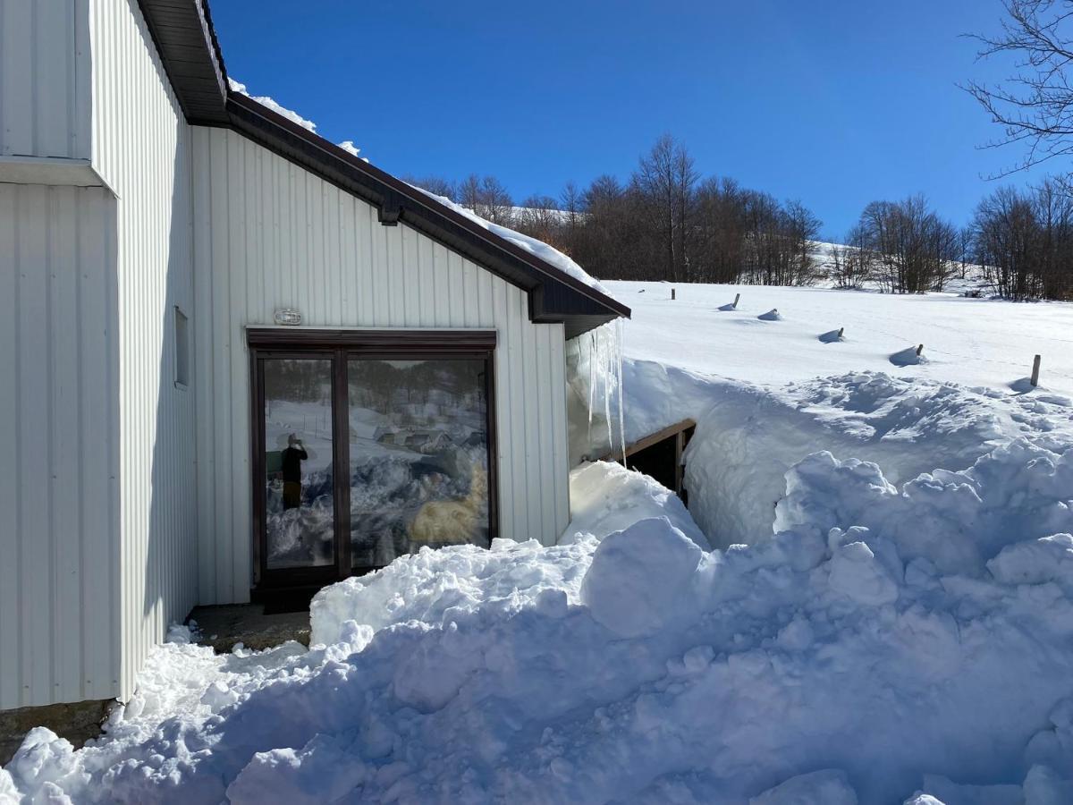 Blackberry House Zabljak 외부 사진